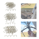 Maxbell 50Pcs Fruit Tree Branch Pullers Orchard Tool Branch Puller for Improve Yield M8