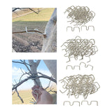 Maxbell 50Pcs Fruit Tree Branch Pullers Orchard Tool Branch Puller for Improve Yield M8