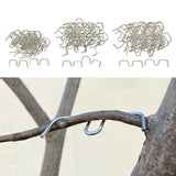 Maxbell 50Pcs Fruit Tree Branch Pullers Orchard Tool Branch Puller for Improve Yield M8