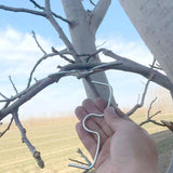 Maxbell 50Pcs Fruit Tree Branch Pullers Orchard Tool Branch Puller for Improve Yield M8