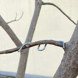 Maxbell 50Pcs Fruit Tree Branch Pullers Orchard Tool Branch Puller for Improve Yield M8