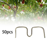Maxbell 50Pcs Fruit Tree Branch Pullers Orchard Tool Branch Puller for Improve Yield M8