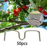 Maxbell 50Pcs Fruit Tree Branch Pullers Orchard Tool Branch Puller for Improve Yield M10