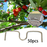 Maxbell 50Pcs Fruit Tree Branch Pullers Orchard Tool Branch Puller for Improve Yield M13