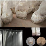 Maxbell 20x Mushroom Grow Bags Planting Tent Clear Breathable Mushroom Substrate Bag 20x12x50cm 0.06mm
