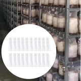 Maxbell 20x Mushroom Grow Bags Planting Tent Clear Breathable Mushroom Substrate Bag 20x12x50cm 0.06mm