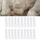 Maxbell 20x Mushroom Grow Bags Planting Tent Clear Breathable Mushroom Substrate Bag 20x12x50cm 0.08mm
