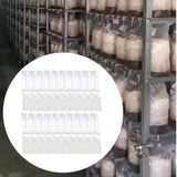 Maxbell 20x Mushroom Grow Bags Planting Tent Clear Breathable Mushroom Substrate Bag 10x8x50cm 0.08mm