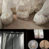 Maxbell 20Pcs Mushroom Grow Bags School Projects Plant Spawn Substrate Grain Pouches