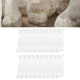 Maxbell 20Pcs Mushroom Grow Bags School Projects Plant Spawn Substrate Grain Pouches