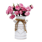 Maxbell Milk Jug Planter Rustic Garden Plant Pot for Wedding Home Office Living Room A