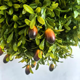 Maxbell 2 Pieces Artificial Topiary Tree Housewarming Porch Yard Faux Greenery Tree