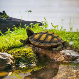 Maxbell Turtle Statue Outdoor Yard Decor Tortoise Ornament for Water Pond Yard Decor