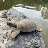 Maxbell Turtle Statue Outdoor Realistic Turtle Pond Sculpture for Outdoor Pool Floor 37x33x10.5cm