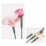 Maxbell 50 Pieces Flower Water Tubes Florist Supplies Nutrient Tube for Fresh Floral 14.5cmx2cmx2cm