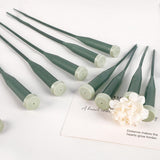Maxbell 50 Pieces Flower Water Tubes Florist Supplies Nutrient Tube for Fresh Floral 14.5cmx2cmx2cm