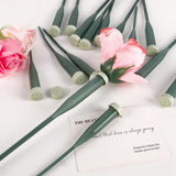 Maxbell 50 Pieces Flower Water Tubes Florist Supplies Nutrient Tube for Fresh Floral 14.5cmx2cmx2cm