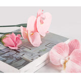 Maxbell 50 Pieces Flower Water Tubes Florist Supplies Nutrient Tube for Fresh Floral 14.5cmx2cmx2cm