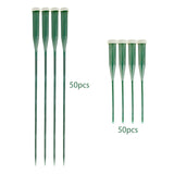 Maxbell 50 Pieces Flower Water Tubes Florist Supplies Nutrient Tube for Fresh Floral 14.5cmx2cmx2cm