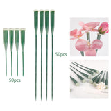 Maxbell 50 Pieces Flower Water Tubes Florist Supplies Nutrient Tube for Fresh Floral 14.5cmx2cmx2cm