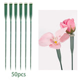 Maxbell 50 Pieces Flower Water Tubes Florist Supplies Nutrient Tube for Fresh Floral 30cmx2cmx2cm