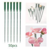 Maxbell 50 Pieces Flower Water Tubes Florist Supplies Nutrient Tube for Fresh Floral 30cmx2cmx2cm