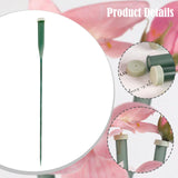 Maxbell 50 Pieces Flower Water Tubes Florist Supplies Nutrient Tube for Fresh Floral 30cmx2cmx2cm