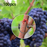 Maxbell 100 Pieces 3 Position Garden Vine Crops Ties Support 8cm 10cm 12cm Windproof