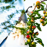 Maxbell 93cm Telescopic Fruit Pollinator Pollen Sprayer for Gardens Pollination Tool 100ml