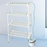 Maxbell Hydroponic System Grow Kit for Leafy Vegetables Mint Lettuce Canola Parsley