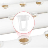 Maxbell Hydroponic System Grow Kit for Leafy Vegetables Mint Lettuce Canola Parsley