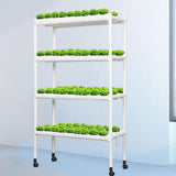 Maxbell Hydroponic System Grow Kit for Leafy Vegetables Mint Lettuce Canola Parsley