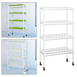 Maxbell Hydroponic System Grow Kit for Leafy Vegetables Mint Lettuce Canola Parsley