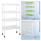 Maxbell Hydroponic System Grow Kit for Leafy Vegetables Mint Lettuce Canola Parsley