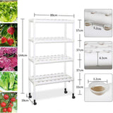 Maxbell Hydroponic System Grow Kit for Leafy Vegetables Mint Lettuce Canola Parsley