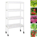 Maxbell Hydroponic System Grow Kit for Leafy Vegetables Mint Lettuce Canola Parsley