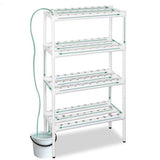 Maxbell Hydroponic System Grow Kit for Leafy Vegetables Mint Lettuce Canola Parsley