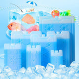 Maxbell Ice Pack for Cooler Transporting Freezer Pack for Road Trips Fishing Camping 250ml
