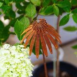 Maxbell Coneflower Stake Sturdy Iron Echinacea Yard Stake for Landscape Yard Outside