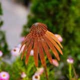 Maxbell Coneflower Stake Sturdy Iron Echinacea Yard Stake for Landscape Yard Outside