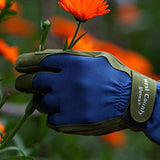 Maxbell Gardening Gloves Anti-slip Roses Pruning Gloves for Planting Digging Pruning Green Blue
