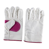26