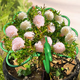 Maxbell 10 Pieces Plant Support Stakes Sturdy for Indoor Outdoor Plants Balcony Yard