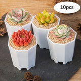 10 Pieces Nursery Pots Reusable Octagonal Flower Pot for Shelf Bedroom Patio White
