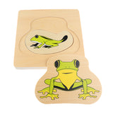 Maxbell Maxbell The Growth Process of Frog Jigsaw Puzzles Matching Toy for Kids Montessori Early Developing Toy