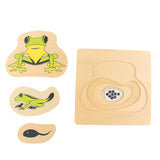 Maxbell Maxbell The Growth Process of Frog Jigsaw Puzzles Matching Toy for Kids Montessori Early Developing Toy