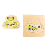 Maxbell Maxbell The Growth Process of Frog Jigsaw Puzzles Matching Toy for Kids Montessori Early Developing Toy