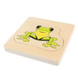 Maxbell Maxbell The Growth Process of Frog Jigsaw Puzzles Matching Toy for Kids Montessori Early Developing Toy