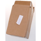 Maxbell 2x Home Garden Resin Deer Model for DIY Outdoor Grassland Backyard Accessory - Aladdin Shoppers