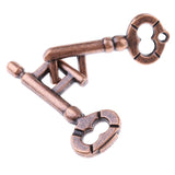 Maxbell 4pcs Lock Puzzle Brain Teaser IQ Test Educational Toys for Adults Children